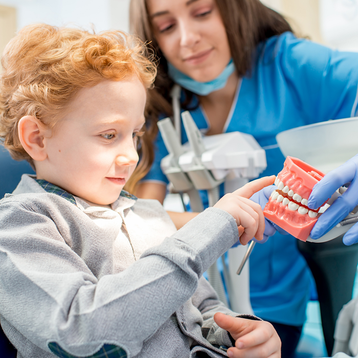 Young boy in dental chair pointing to a model of the teeth